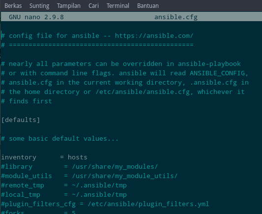 Import utils python. Ansible hosts. Сервер репозиториев ansible. Запускаем ansible книга. VSX программа ansible.